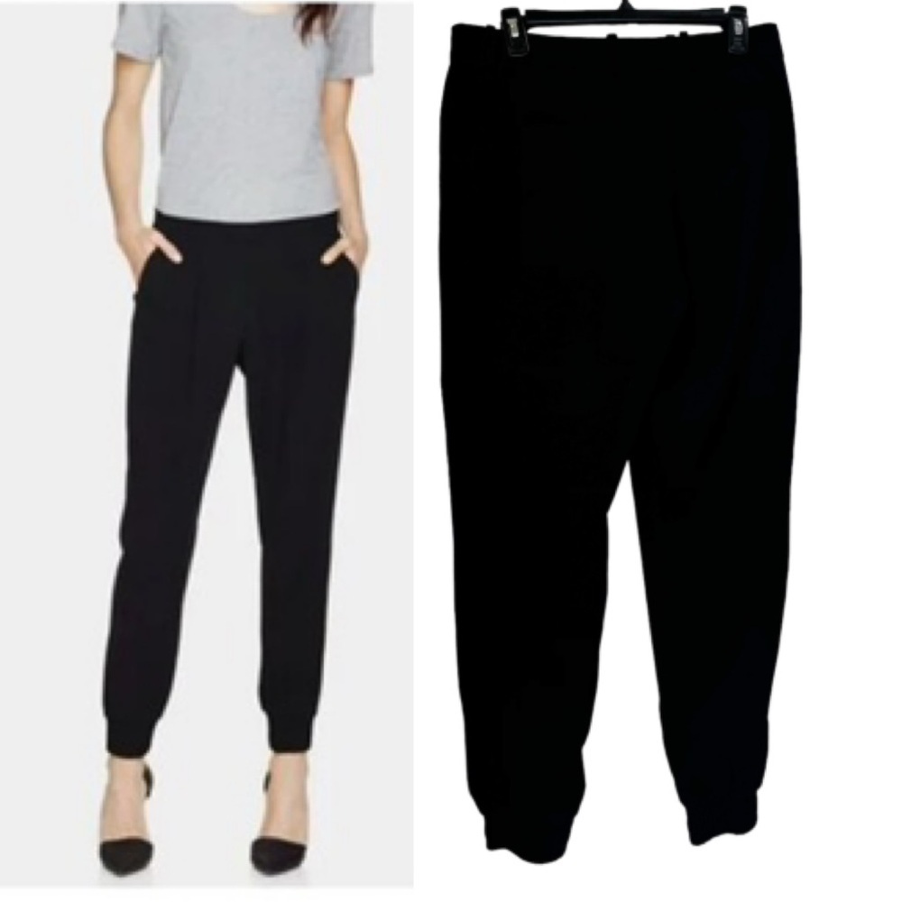 Aritzia Babaton Dress Trousers Pants Cuffs Joggers Pockets Minimalist Zip Fly 10